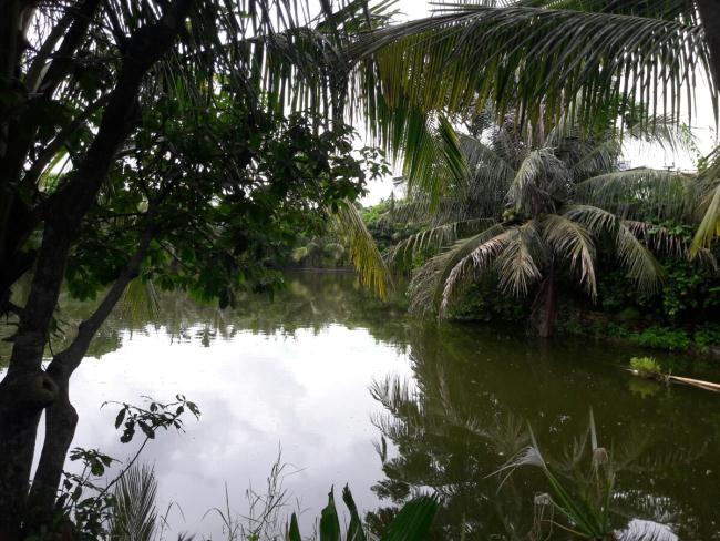 Chuyển nhượng 2,2ha đất gần Sân Bay Cát Bi, Hải An, giá chuyển nhượng 800.000 vnđ/m2