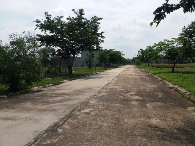 Cần tiền bán gấp 300m2 đất đối diện chợ đang hoạt động