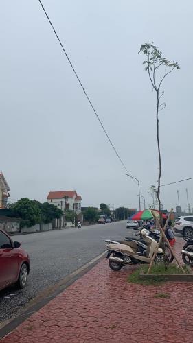 Bán đất mặt đường Hồng Lạc, Thanh Hà, Hải Dương, lô L23, 90m2, mt 5m, đường trục KD chính - 2