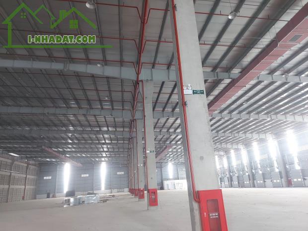 Cho thuê kho xưởng 10.000m2 mới xây KCN Thuận Đạo, huyện Bến Lức Long An