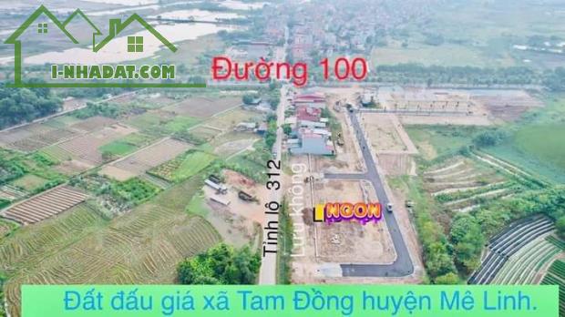 bán đất đấu giá, Thôn Tam Đồng, Mê Linh, Hà Nội, Dt 100 m2, mt 5m, giá trên 30 triệu - 3