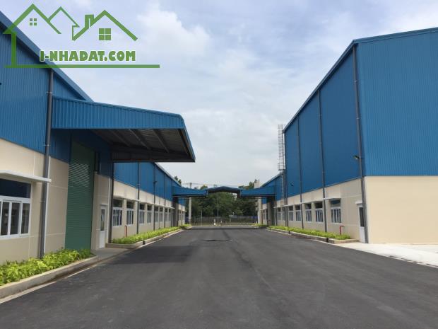 Cho thuê kho mới xây dựng trong KCN Vsip 2, Hòa Phú, TDM, Bình Dương.