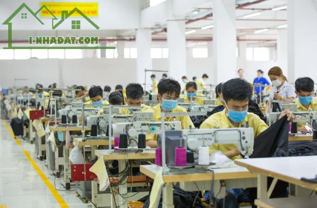Bán tổ hơp công ty và toàn bộ xưởng may đang hoạt động 300 công nhân KCN Quang Trung, - 3