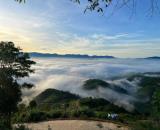 Cần Bán Gấp Căn Homestay View đồi cực đẹp tại Lộc An giá chuẩn 700 triệu thật 100%