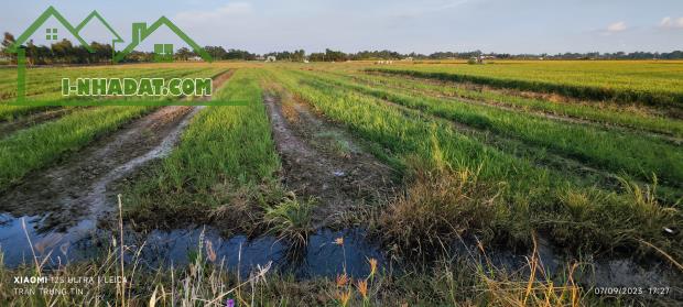 Bán gấp lô đất lúa chuyển thổ mặt tiền Đường Nguyễn Hoàng Anh giá 4,4 tỷ - 3