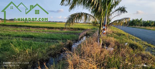 Bán gấp lô đất lúa chuyển thổ mặt tiền Đường Nguyễn Hoàng Anh giá 4,4 tỷ - 4