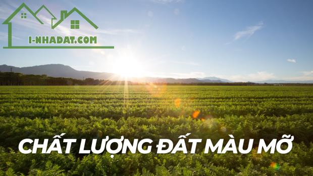 Hơn 60 ha đất Nông Nghiệp bằng phẳng, màu mỡ tại Đăk Nông - Giá chỉ 660tr/ha. NguyenThanh - 1