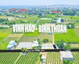 Cơ hội đầu tư đất Biển Bình Thuận giá tốt năm 2024