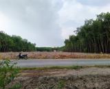 Cần mua đất giá mềm ở Lộc Ninh, Bình Phước trên 5000m2