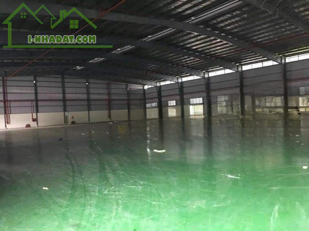 Cho thuê 10.000 m2 kho xưởng trong KCN TPM Bình Dương - 1
