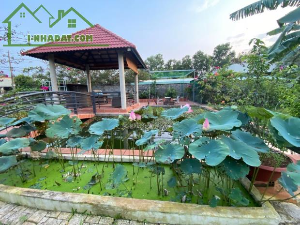Bán Nhà vườn 3407m2 xã Vĩnh Thanh Nhơn Trạch Đồng Nai Giá rẻ - 5