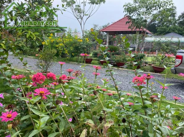 Bán Nhà vườn 3407m2 xã Vĩnh Thanh Nhơn Trạch Đồng Nai Giá rẻ - 2