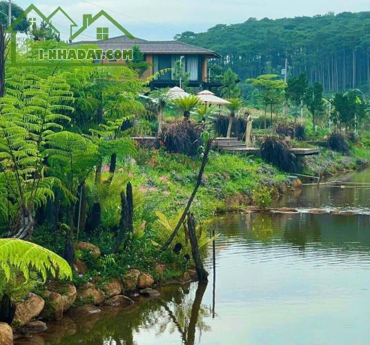 Bán Biệt thự KIWUKI view đồi tuyệt đẹp, nằm trong khu nghỉ dưỡng thành phố Bảo Lộc