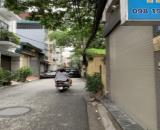 Bán nhà phố Gia Quất, Thượng Thanh, đường ô tô tránh, vừa ở vừa kinh doanh, 59m2 giá 10tỷ