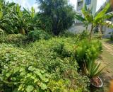 Bán đất Vườn Lài Phường An Phú Đông Quận 12, Đường 6m, giá giảm còn 6.x tỷ