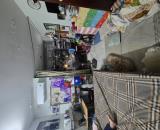 Bán nhà hẻm 164 đường Lê Đình Thám, Phường Tân Quý, Quận Tân Phú - 45m2