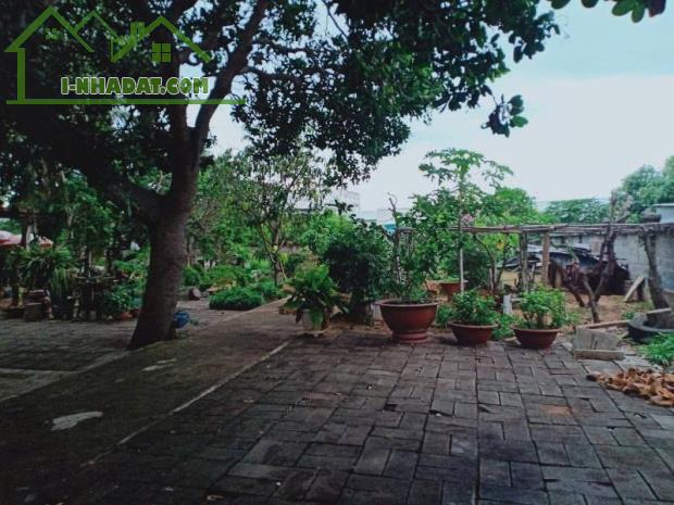 Bán lô đất siêu VIP đường Nguyễn Thông,Phú Hài,TP Phan Thiết cũ nay là P Phú Thủy,Lâm Đồng