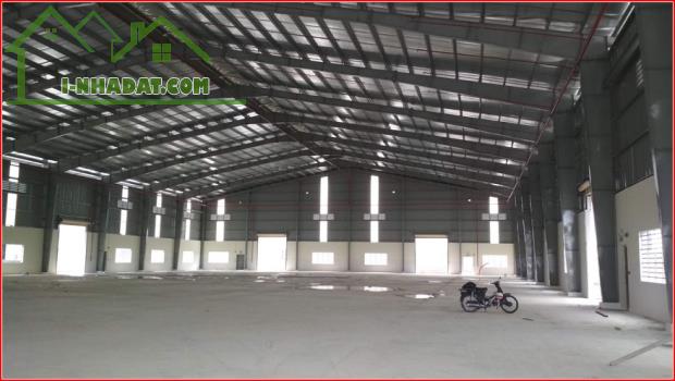 CHO THUÊ GẤP NHÀ XƯỞNG 2.500M2 MẶT TIỀN PHAN VĂN HỚN, HÓC MÔN - 3