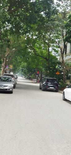 Mặt phố tây Trà kinh doanh,100m, 5T, MT4,8m, 22 tỷ - 3