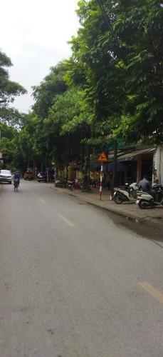 Mặt phố tây Trà kinh doanh,100m, 5T, MT4,8m, 22 tỷ - 2