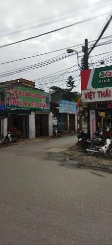 Mặt phố tây Trà kinh doanh,100m, 5T, MT4,8m, 22 tỷ - 1