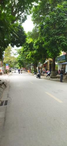 Mặt phố tây Trà kinh doanh,100m, 5T, MT4,8m, 22 tỷ