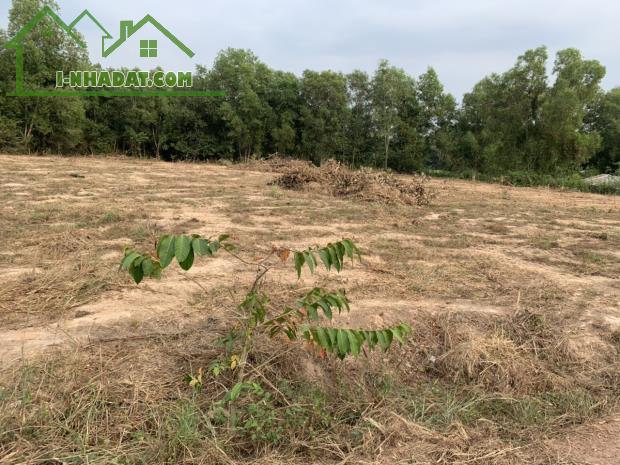 Bán 4,007.5m2 đất tại đường Tăng Thị Hội, An Nhơn Tây, Củ Chi, TP.HCM - 5