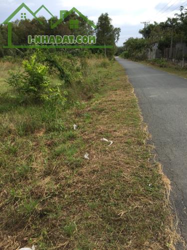Bán 4,007.5m2 đất tại đường Tăng Thị Hội, An Nhơn Tây, Củ Chi, TP.HCM - 3