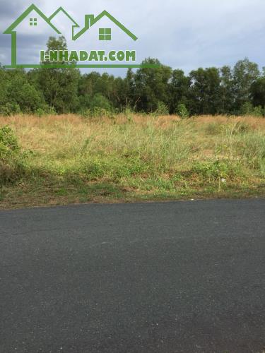 Bán 4,007.5m2 đất tại đường Tăng Thị Hội, An Nhơn Tây, Củ Chi, TP.HCM
