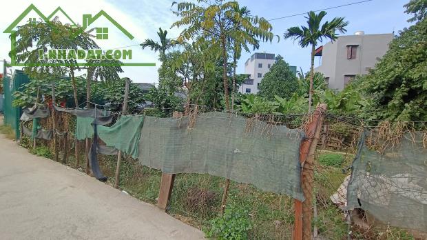 BÁN GẤP MẢNH ĐẤT TẠI BẰNG A, HOÀNG MAI – 74M2, MT 7.1M, 3.6 TỶ