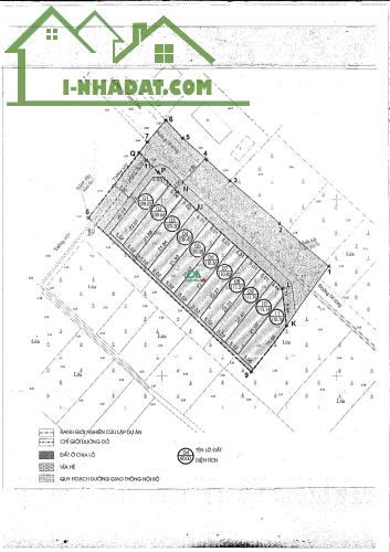 Bán đất đấu giá  X7 Hà Lâm Thụy Lâm Đông Anh - 3