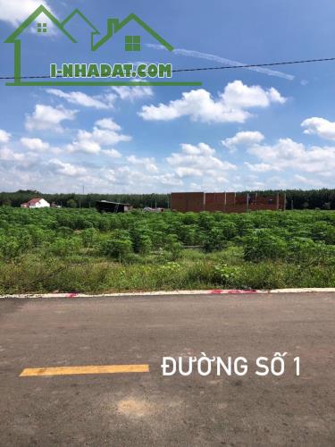 ĐẤT RẺ GIÁ SỈ CHỈ 180 TR CÓ NGAY 200M2 ĐẤT NGAY CHỢ, TRƯỜNG HỌC, SÁT CỔNG SÂN BAY - 1