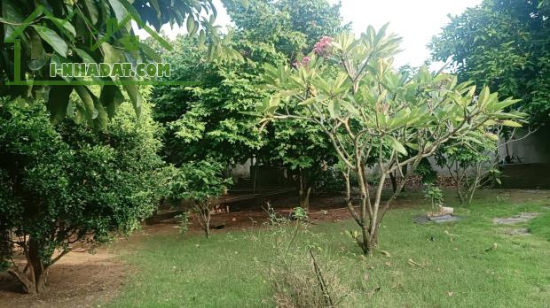 Biệt thự nhà vườn mặt tiền đường Long Phước, Thủ Đức, 2500m, ngang 30m, giá chỉ 77 tỷ