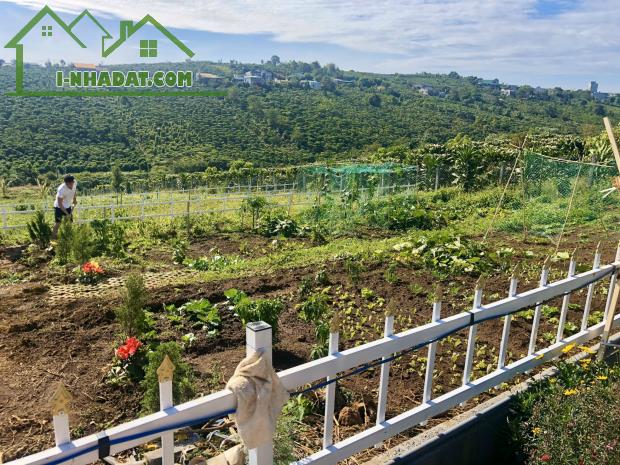 Mở bán 64 lô đất xã Lộc Quảng, Bảo Lâm Lâm Đồng - bảo lộc hills - master land propertyxvn