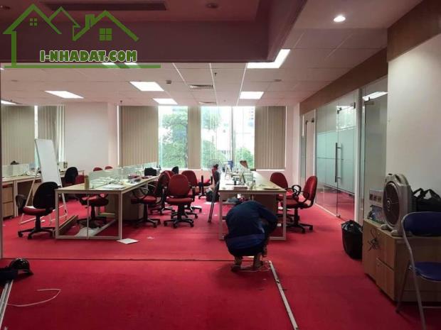 VP phố Tuệ Tĩnh, Triệu Việt Vương, Q. Hai Bà Trưng, DT 60m2 - 120m2, 250 nghìn/m2/th