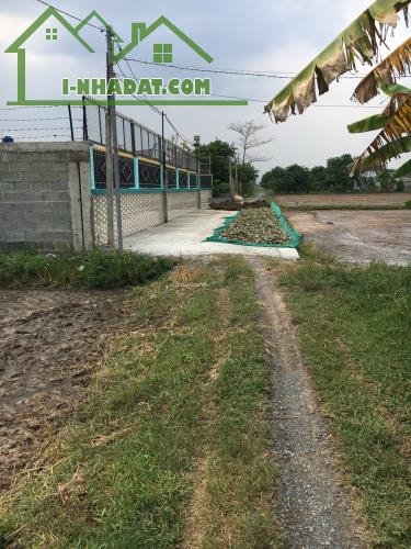 Bán đất lúa  2500m2 (55x47m) giá 6 tỷ 325 triệu, Xã Hòa Khánh Đông, Huyện Đức Hòa,Long An. - 2