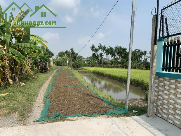 Bán đất lúa  2500m2 (55x47m) giá 6 tỷ 325 triệu, Xã Hòa Khánh Đông, Huyện Đức Hòa,Long An. - 5