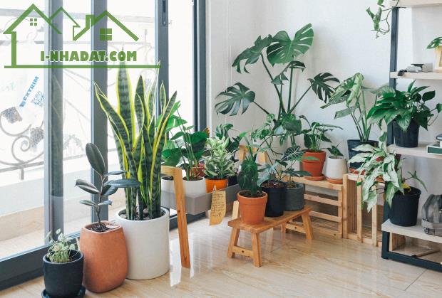 Bán Nhà  Mặt Tiền Hải Châu - Có Sẵn Dòng Tiền - 100m2 - Giá 5 Tỷ 6