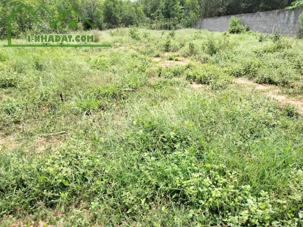 Bán đất KCN Xuân Hoà Đồng Nai 20x53=1065M2= 3.6 tỷ - 1
