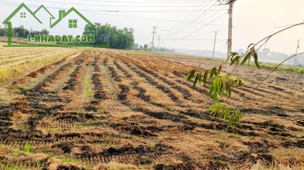 bán đất mặt tiền dt 8.112m2 thị trấn Hiệp Hòa Đức Hòa, Long An giá 8.2 tỷ LH: 0949 861 287 - 1