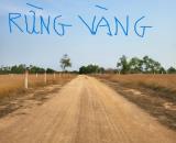 👉 Hàng ngộp, bán đất giá rẻ thành phố Biển Lagi Bình Thuận
