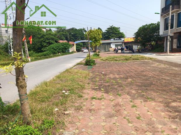 Bán đất đấu giá X1 Mai Hiên Mai Lâm Đông Anh gần Vinhomes Cổ Loa - 1