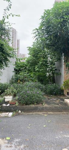 Bán gấp đất dịch vụ Yên Nghĩa, 49.8m2, mt4.98m, giá rẻ 9 tỷ gần Vành đai 4 Quốc lộ 6