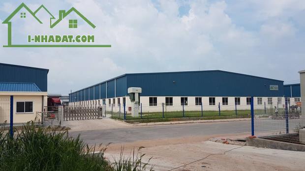 Cho thuê kho,nhà xưởng 5000m2-10000m2 thuộc Tân Đông Hiệp,Dĩ An, Bình Dương