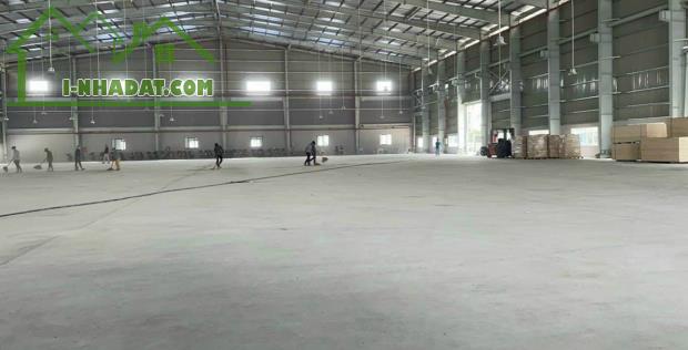 Cho thuê kho xưởng 3000m2, 5500m2, 11000m2 tại Lương Bình, Bến Lức, Long An