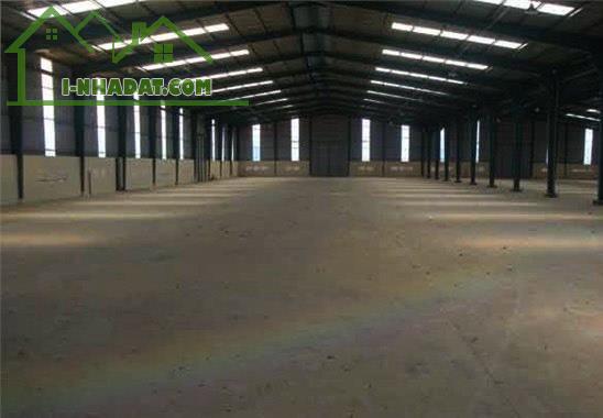 Cho thuê kho xưởng 4800m2 đường Phan Đăng Lưu, Long Bình, Biên Hoà, Đồng Nai