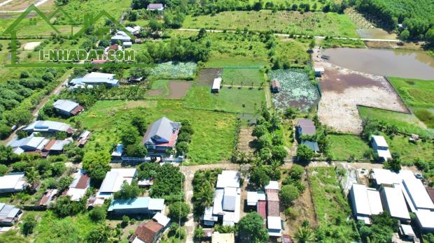 Cần Nhượng Lại Đất Làm Farm Ngay Trung Tâm xã Diên Đồng - 1