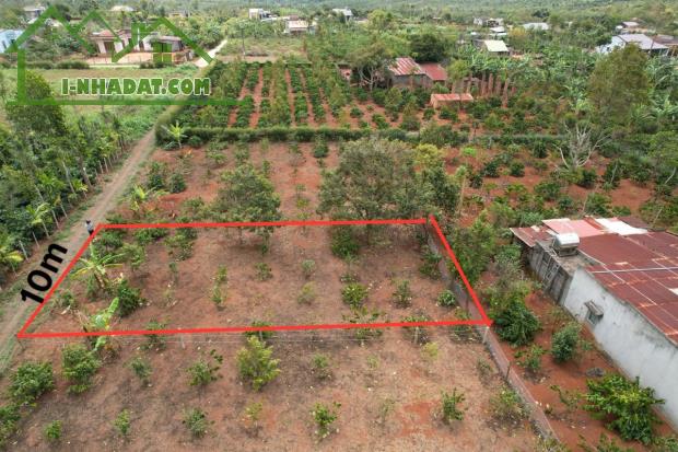 Chính chủ gửi bán lô đất thổ cư gần chợ Bình Thuận và Bách Hoá Xanh giá 250 triệu - 4