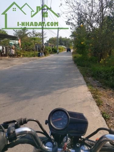 Chủ Cần Bán 2400m. Phước Tân. Biên Hòa. Thích hợp làm xưởng. Phân  lô. Nhà vườn. - 2