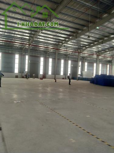 * Cho thuê kho 5500m2 - 10.000m2 DT 743 KP Đồng An, Thuận An, Bình Dương. sát KCN SÓNG